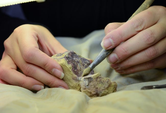 Archaeological finds in Korbach