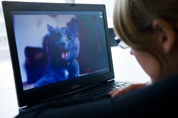 Abgekapselt statt abgelenkt: Tipps und Tools für Konzentration