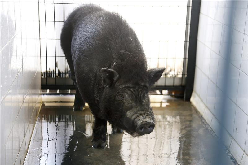 5771377w El Digital de Asturias