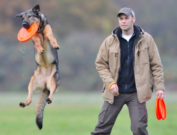 Mit Hundefrisbee wird Gassigehen zum Sport
