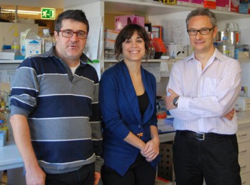 Proponen-una-alternativa-para-combatir-el-cancer-testicular-resistente-a-la-quimioterapia_image_380