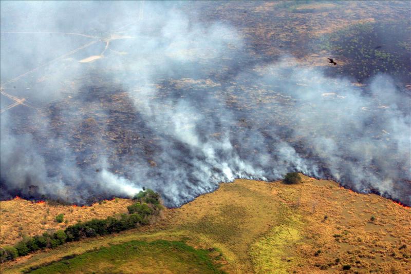 5918854w El Digital de Asturias