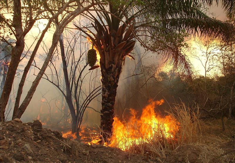 6026028w El Digital de Asturias