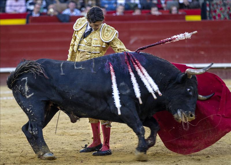 6055671w El Digital de Asturias