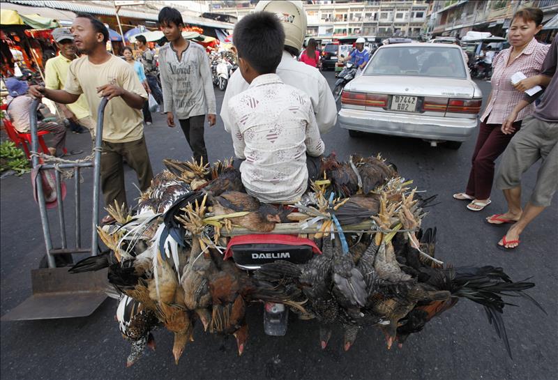 6056237w El Digital de Asturias