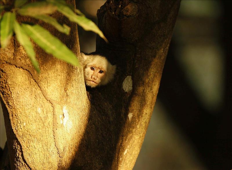 6060526w El Digital de Asturias