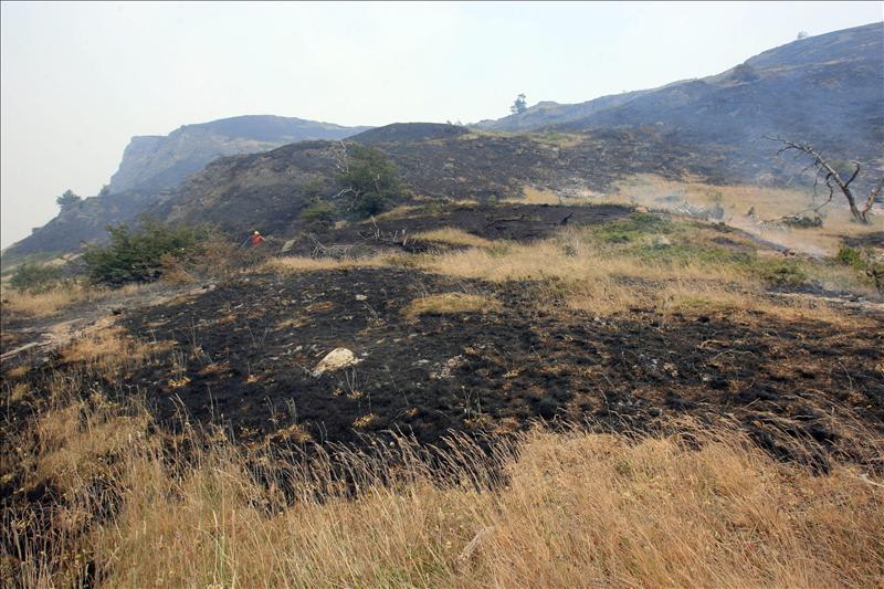 6101224w El Digital de Asturias