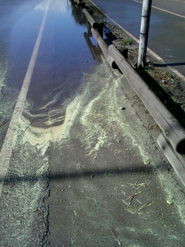 Azufre El Digital de Asturias