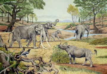 Proponen-reintroducir-grandes-mamiferos-salvajes-en-Europa_image_380