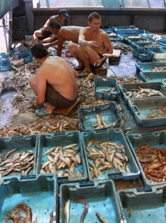 Tour de pesca en la Costa Dorada