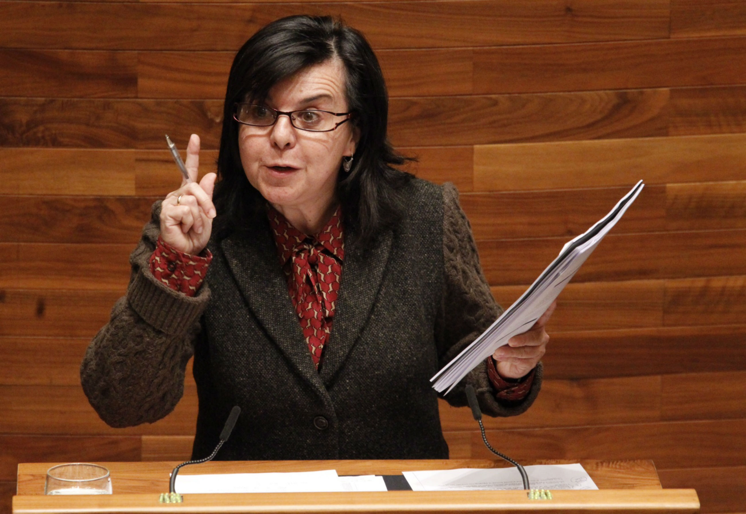 20140403 Maria Jesus Alvarez JPGA 1 El Digital de Asturias