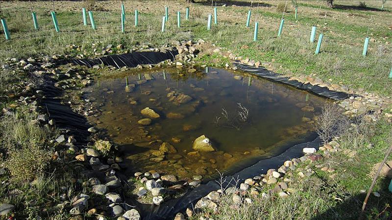 6117583w El Digital de Asturias