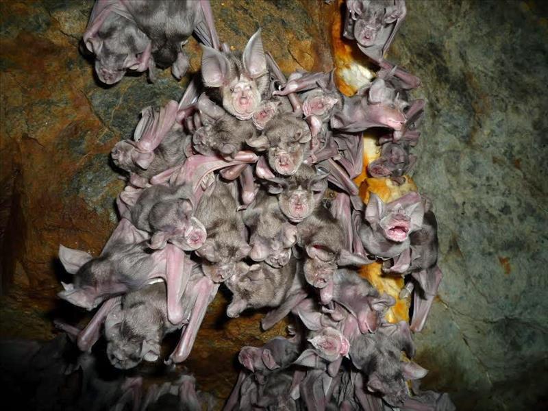 6134174w El Digital de Asturias