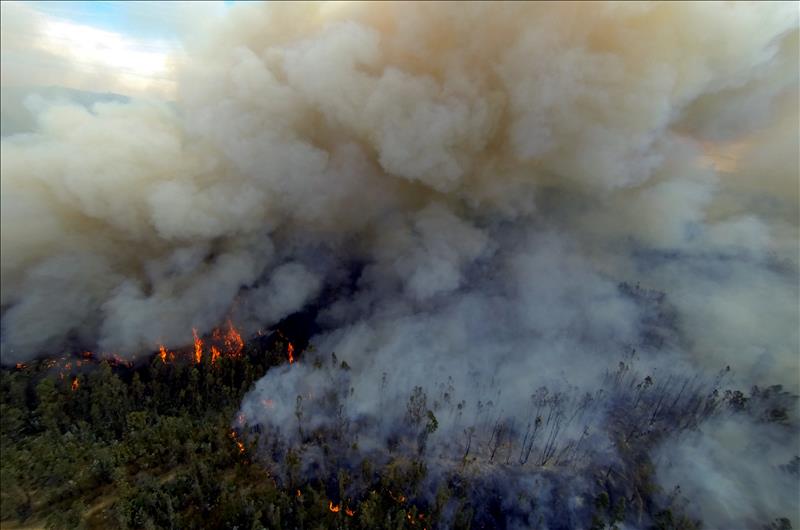 6158879w El Digital de Asturias