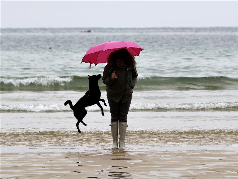 6195487w El Digital de Asturias