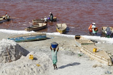Oro blanco en forma de sal en el Lago Rosa de Senegal