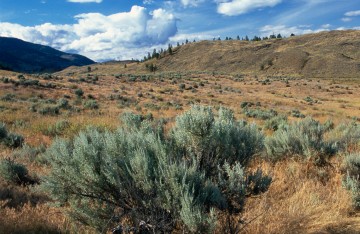 Osoyoos, el único desierto de arena de Canadá