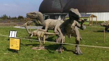 Parque dinosaurio en el MUJA_3
