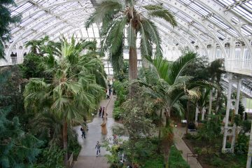 El pulmón verde de Londres