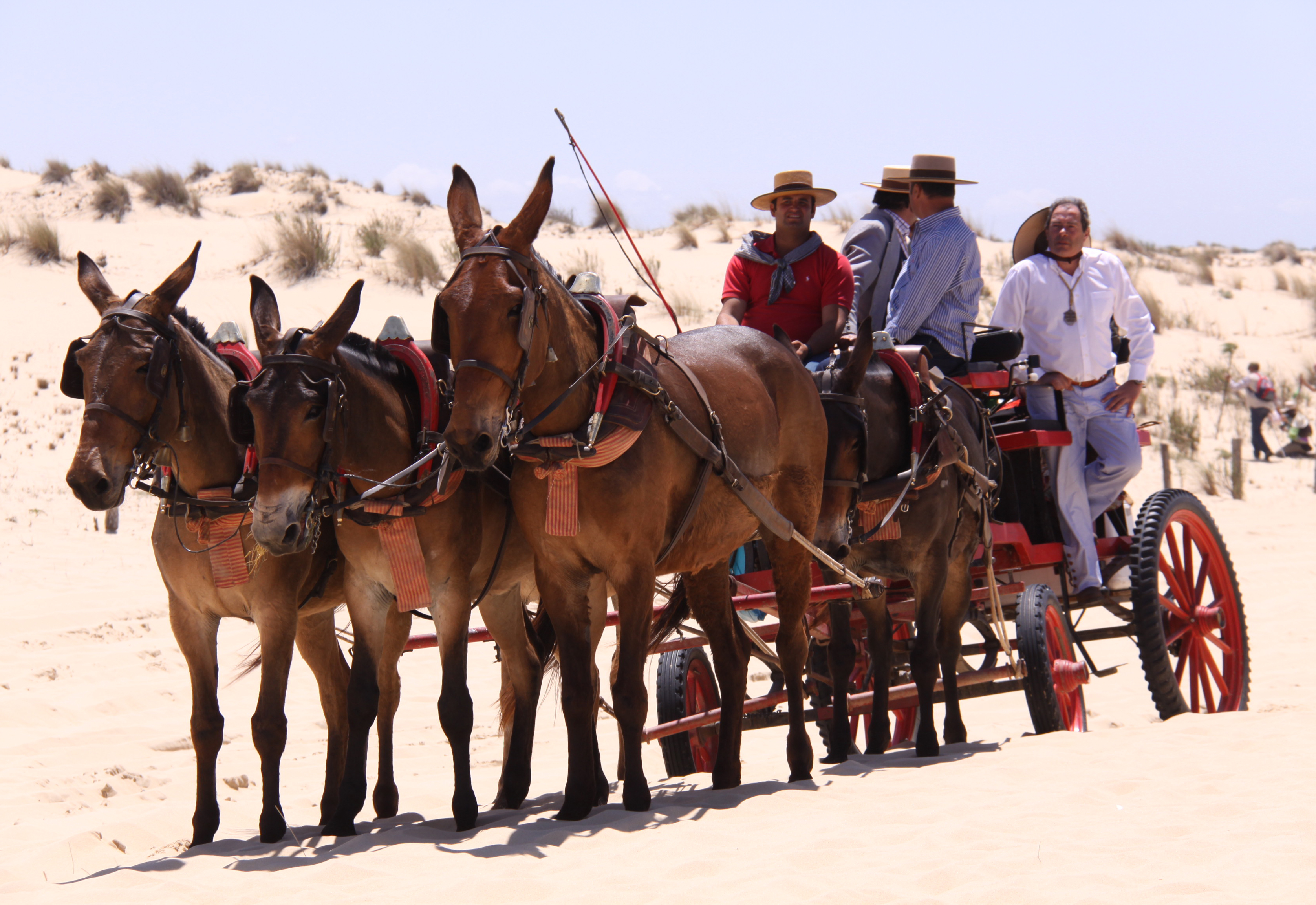Destino Andalucía  : De romería y pasión al Santuario de la Virgen del Rocío
