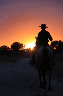 Una romería con bueyes y caballos