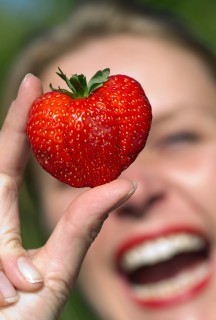 Recomendaciones para el cultivo de fresas