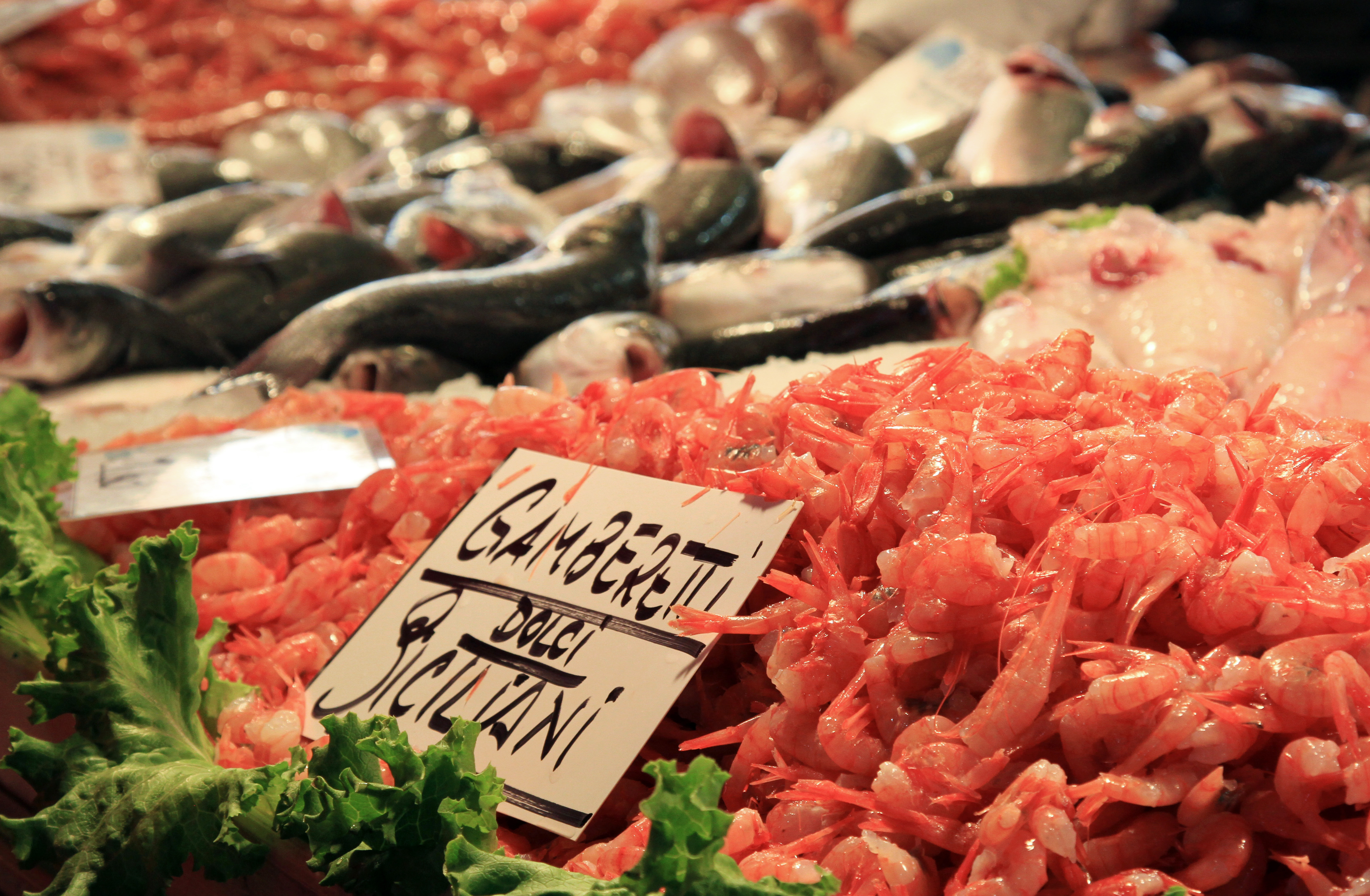 Venecia Comisario Brunetti El Digital de Asturias