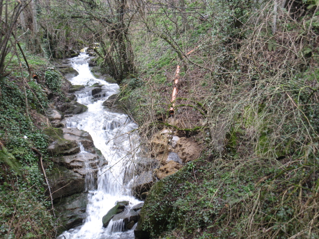 Vertidos Arbeyales El Digital de Asturias
