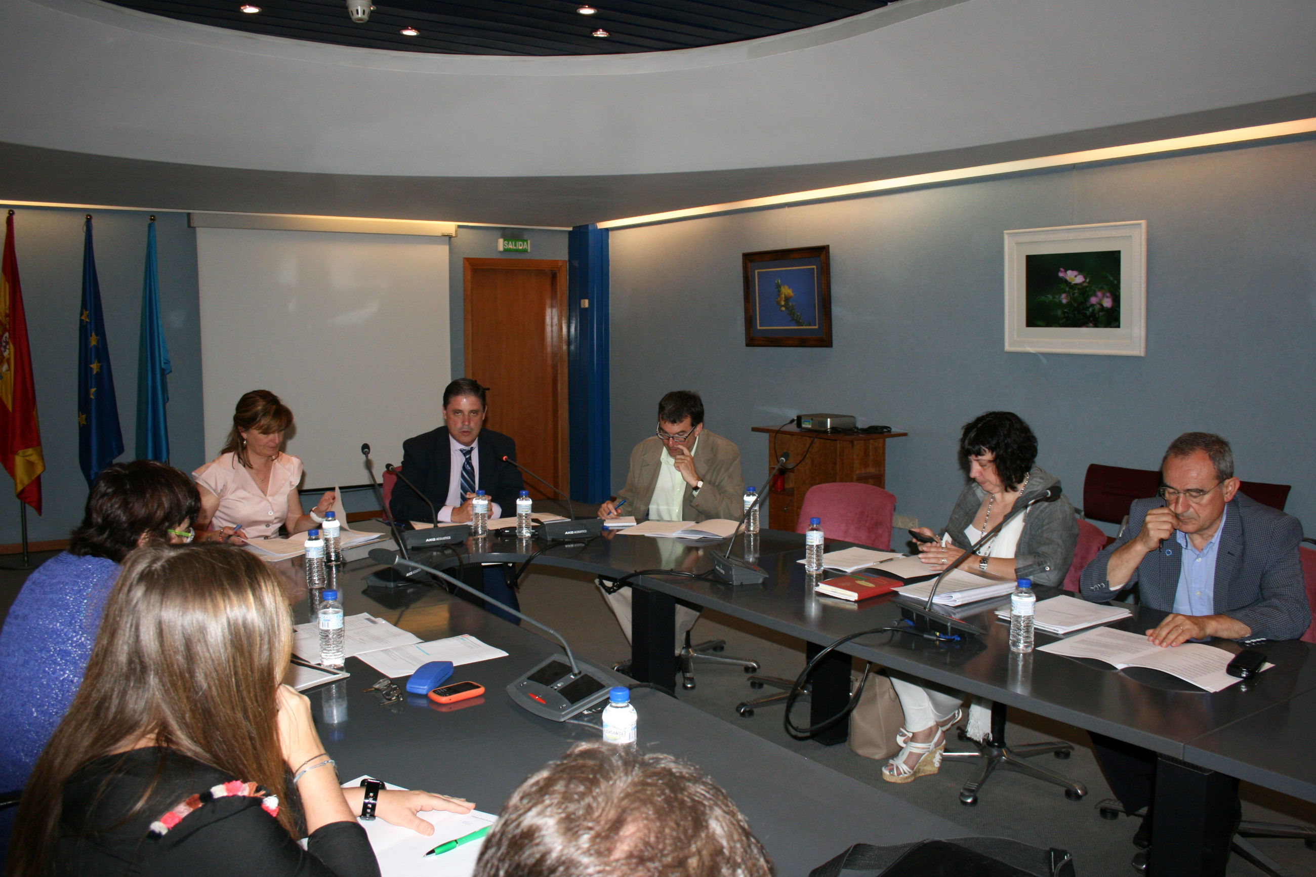 20140616 reunión consejo asesor discapacidad El Digital de Asturias