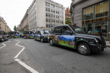 2014_06_28 Taxis asturianos en Londres