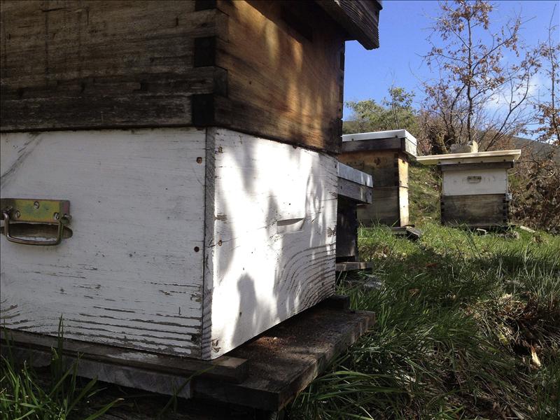 6328242w El Digital de Asturias