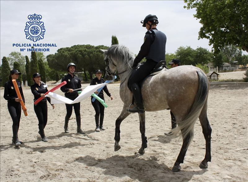 6343411w El Digital de Asturias