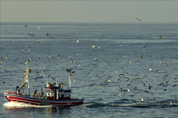 6396388wbarco  El Digital de Asturias 6396388wbarco