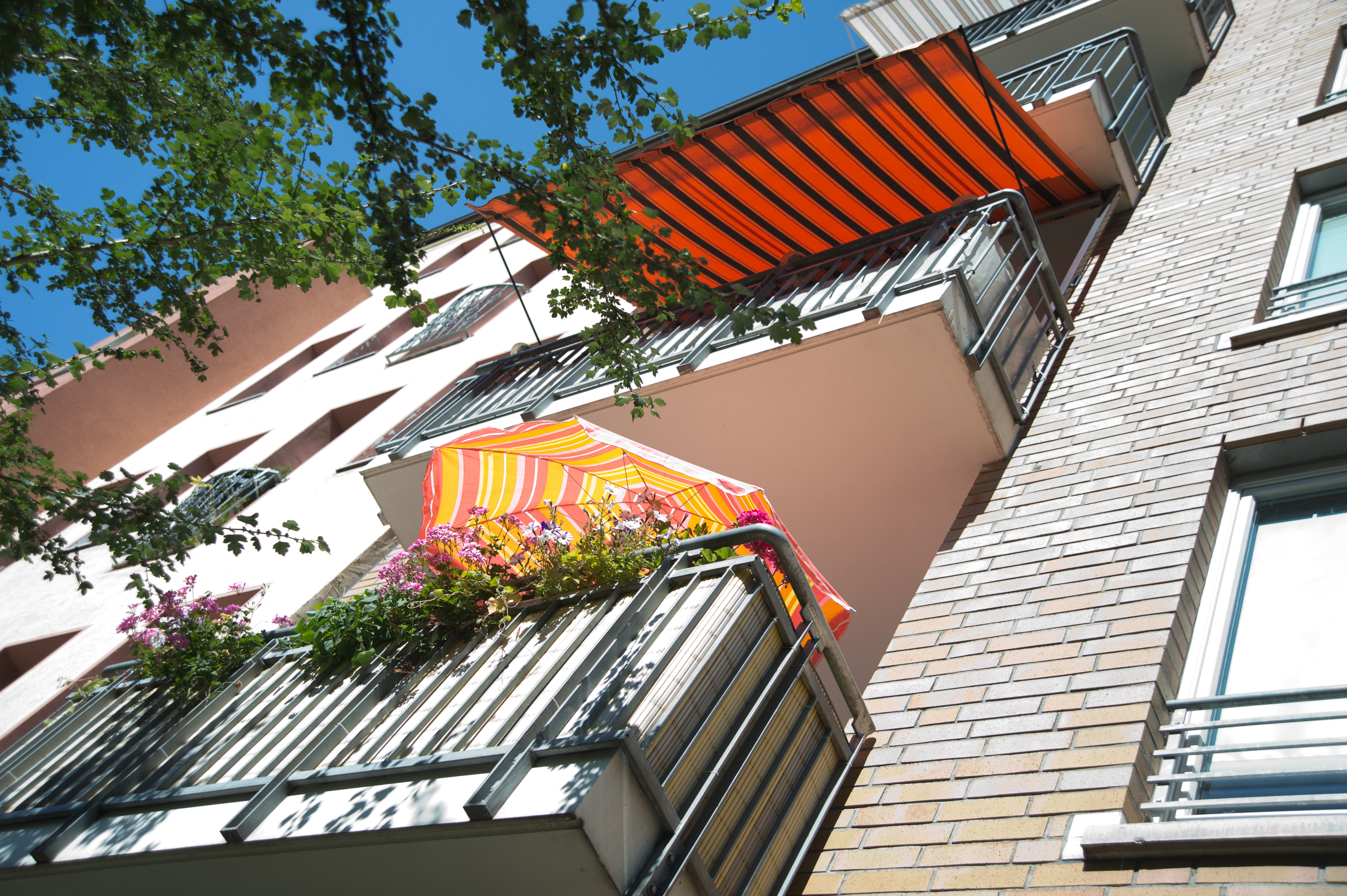 Consejos para combatir el calor y los insectos en casa El Digital de Asturias