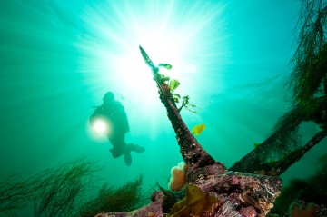 Diez espectaculares sitios de buceo en el mundo