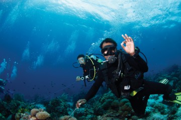 Diez espectaculares sitios de buceo en el mundo  El Digital de Asturias Diez espectaculares sitios de buceo en el mundo