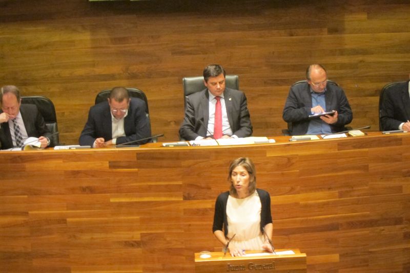 fotonoticia20140628113535800 El Digital de Asturias