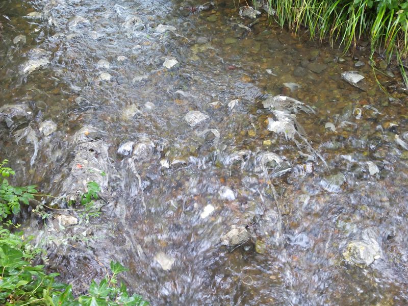 fotonoticia20140628150136800 El Digital de Asturias