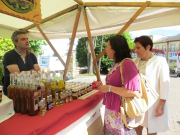 2014_07_05 consejera El Franco 2