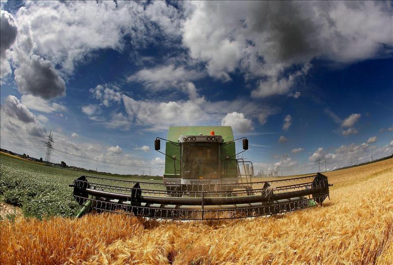 6452275w El Digital de Asturias