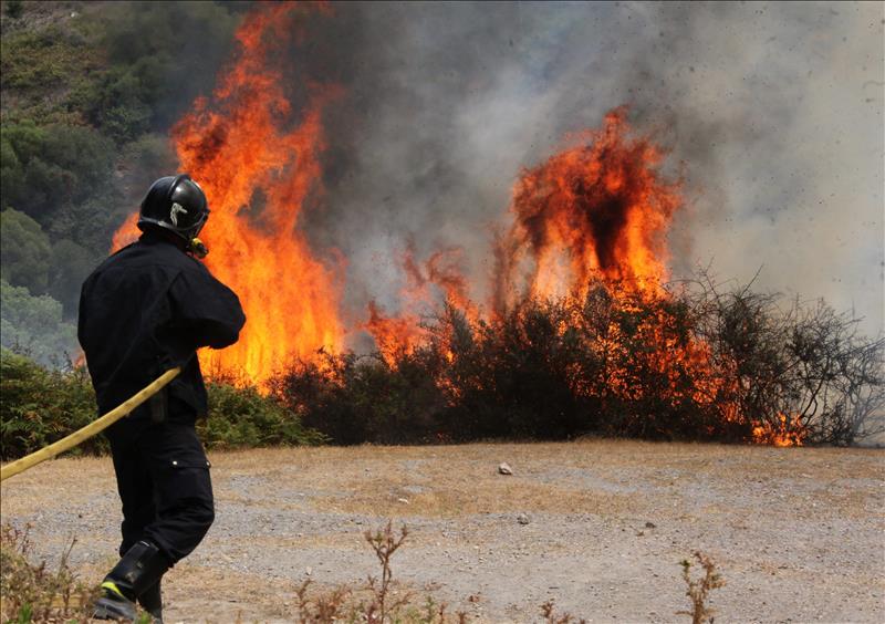 6454773w El Digital de Asturias