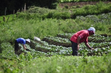 Centroamérica busca en la agroecología una alternativa