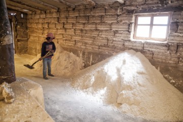 Más de 850.000 niños se ven obligados a trabajar en Bolivia