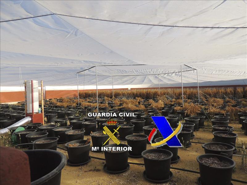 6588516w El Digital de Asturias