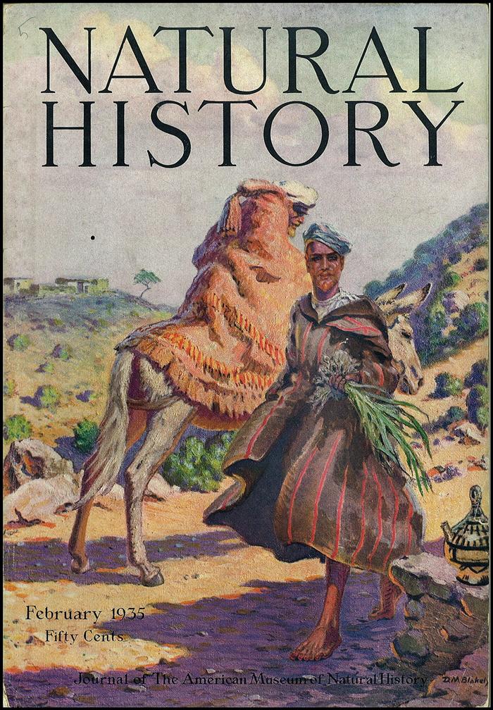 6588792w El Digital de Asturias