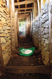 Recorrido turistico por Eslovenia