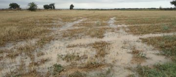 imagenes_20120830_Lluvia_1.jpg_8b72efd3