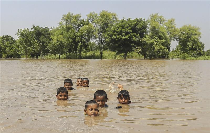 6645697w  El Digital de Asturias