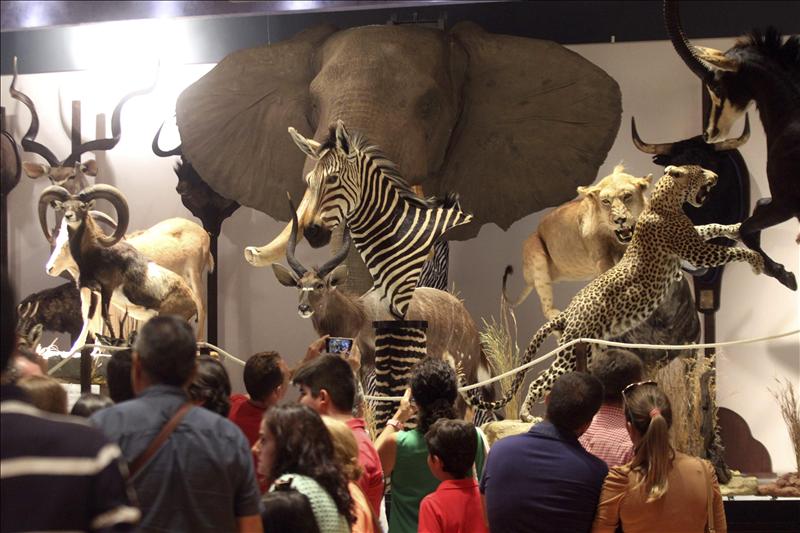 6687974w El Digital de Asturias