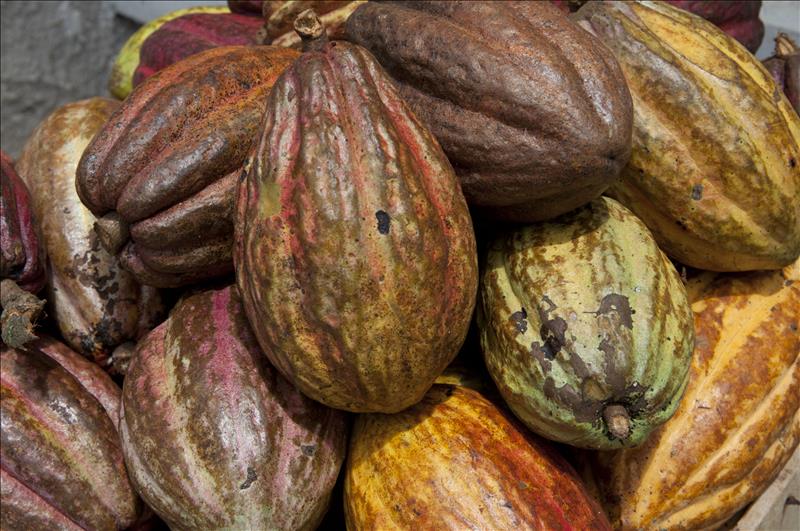 6688141w El Digital de Asturias